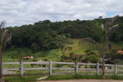 Algumas Fotos Mais Recentes — imagem 6