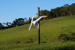 Algumas Fotos Mais Recentes — imagem 12